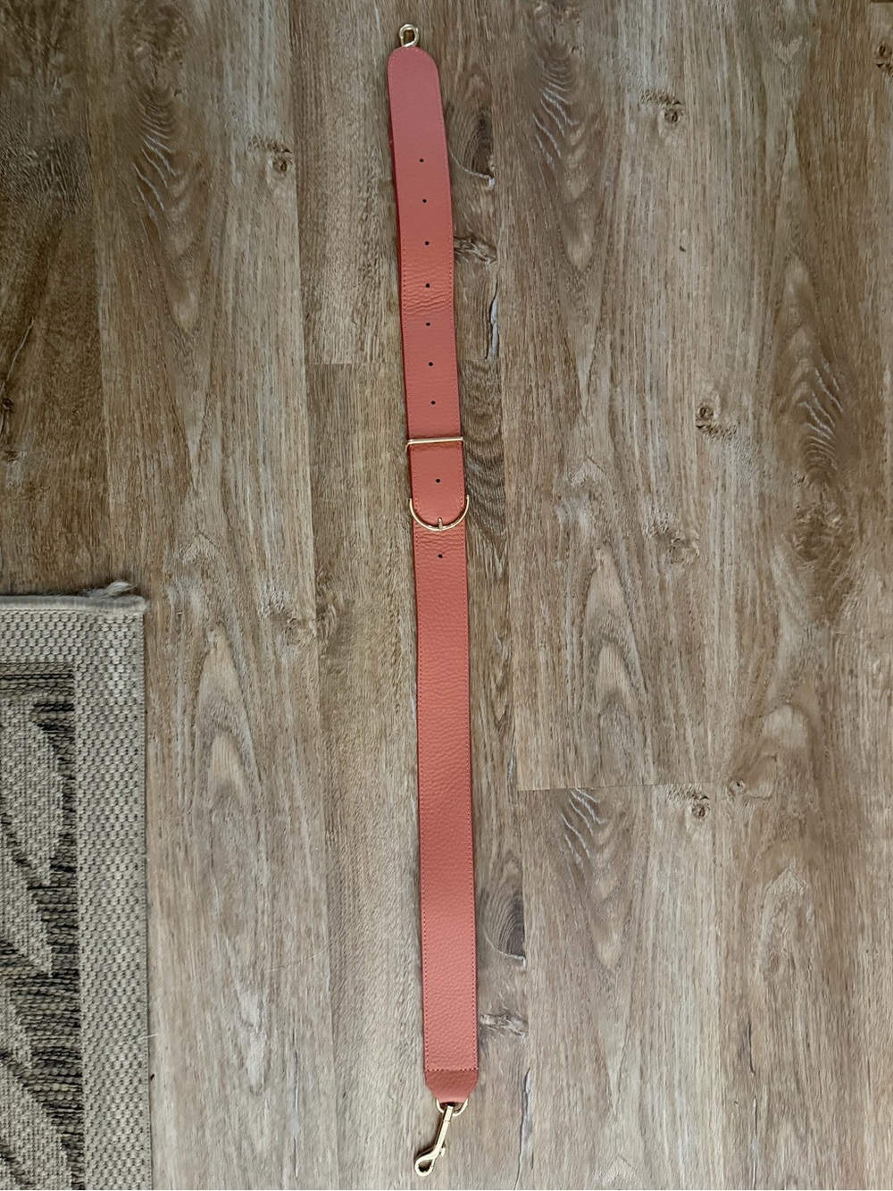 Cuyana Adjustable Wide Strap in Terracotta